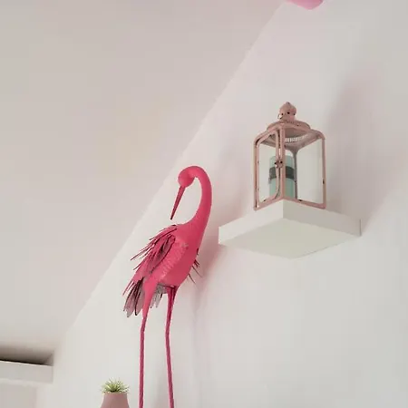 فيلة Areca By Agm