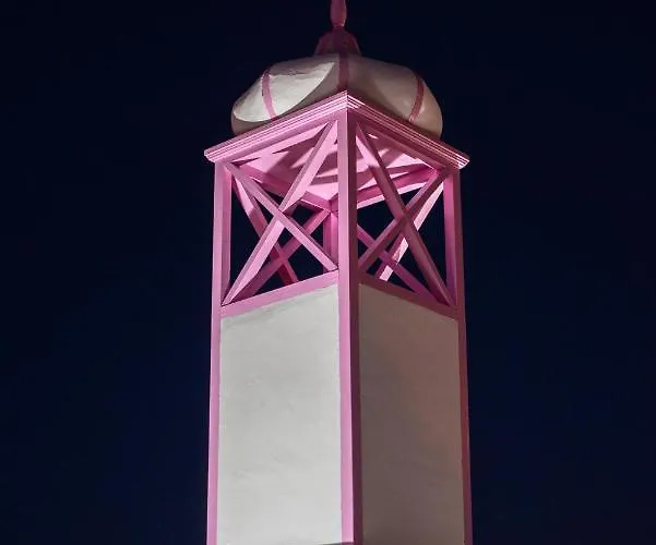 فيلة Areca By Agm