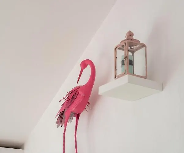 فيلة Areca By Agm