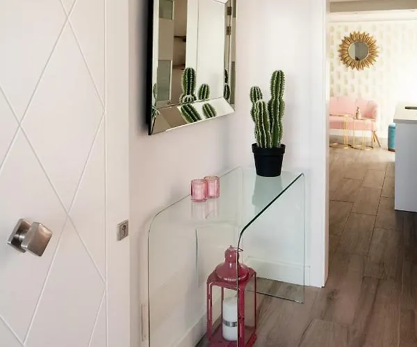 فيلة Areca By Agm