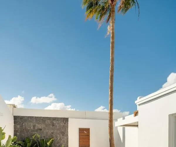 فيلة Areca By Agm *