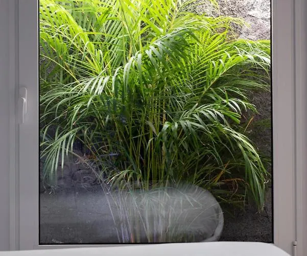 فيلة Areca By Agm بويرتو ذيل كارمين